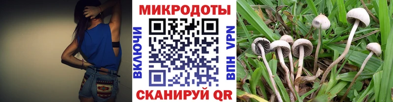 купить наркотик  Темрюк  Псилоцибиновые грибы Psilocybe 